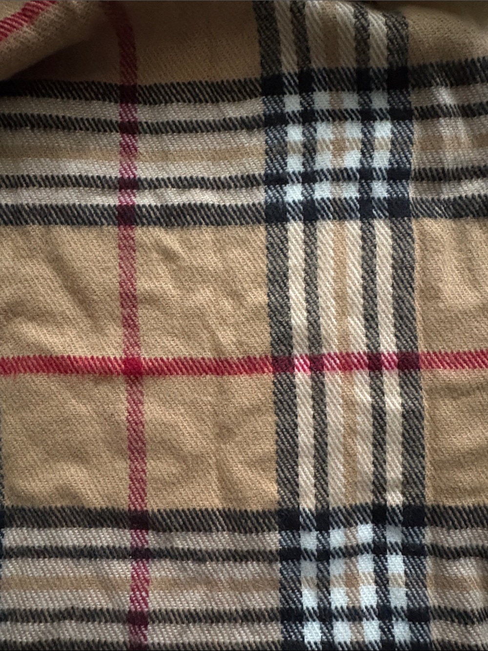 Tan Plaid Fringe Scarf with Classic Check - Picture 4 of 4